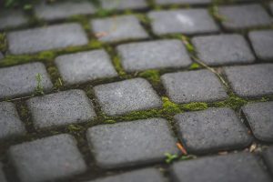 PoradyOgrodnicze.pl - Jakich materiałów użyć do wykonania obrzeży trawnika - kostka