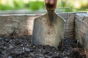 poradyogrodnicze-pl-zakladanie-trawnika-na-jesien-przygotowanie-gleby