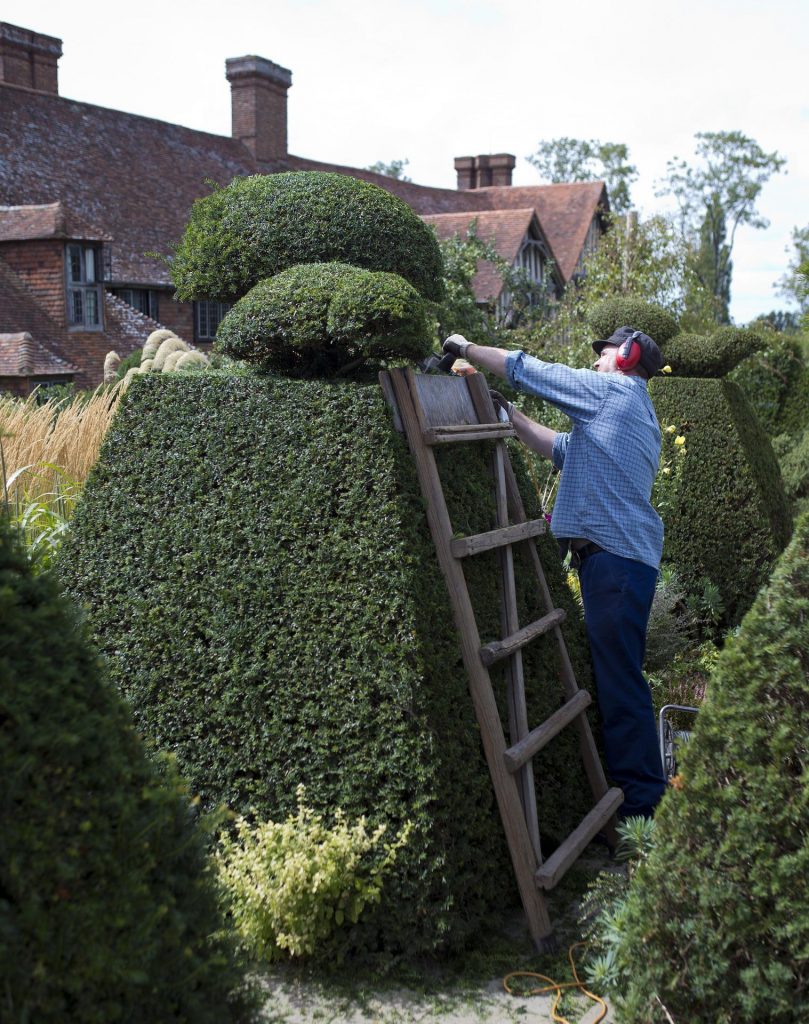 mężczyzna korzystając z akumulatorowych nożyc formuje żywopłot Źródło: https://pixabay.com/pl/photos/topiary-898927/